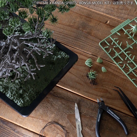 PRE-ORDER : SRL X BANDAI SPIRITS . BONSAI MODEL KIT ／ SRL X BANDAI SPIRITS . TOOL SET