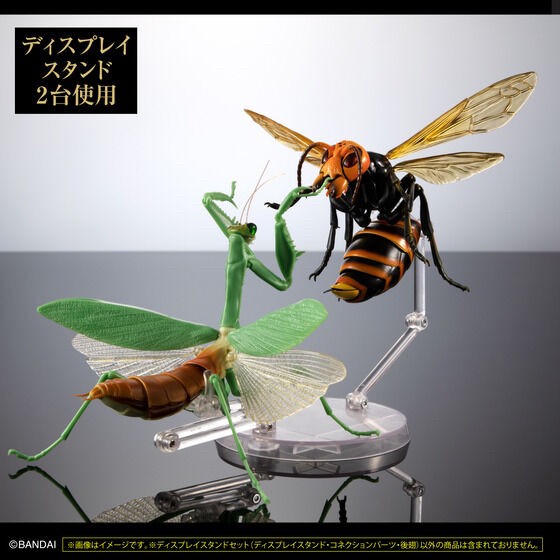 PRE-ORDER : Display Stand for Beetles and Stag Beetles Set for Exclusive Use of Ikimono Encyclopedia