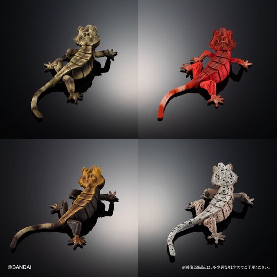 PRE-ORDER : Ikimono Encyclopedia Advance Crested Gecko (Random)