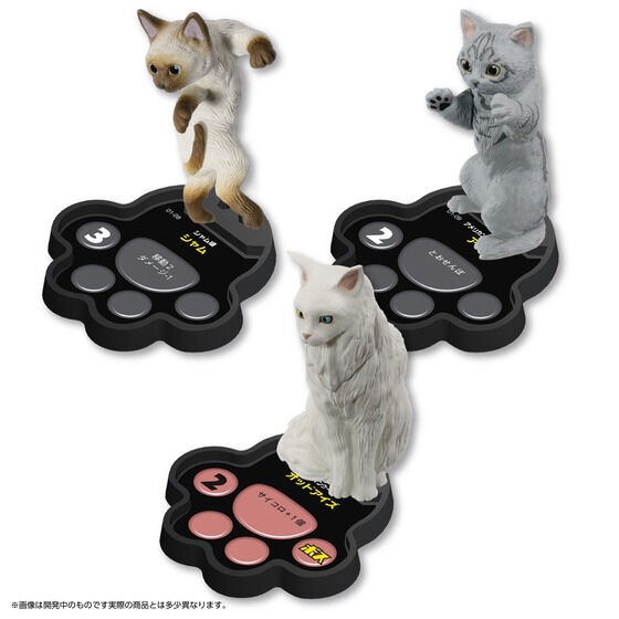 PRE-ORDER : Cat's Territory Battle First Set <For Two Person> ~Territory of Cat CAFE/Territory of Celebrity House~