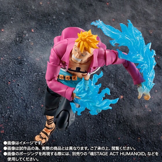 PRE-ORDER : S.H.Figuarts Marco -Summit War of Marineford- (ONE PIECE)