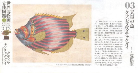 งานฝา สัตว์น้ำ New Enoshima Aquarium World Museum ATLAS ANIMA 3D Bottle Cap Collection (Set of 8) by Kaiyodo