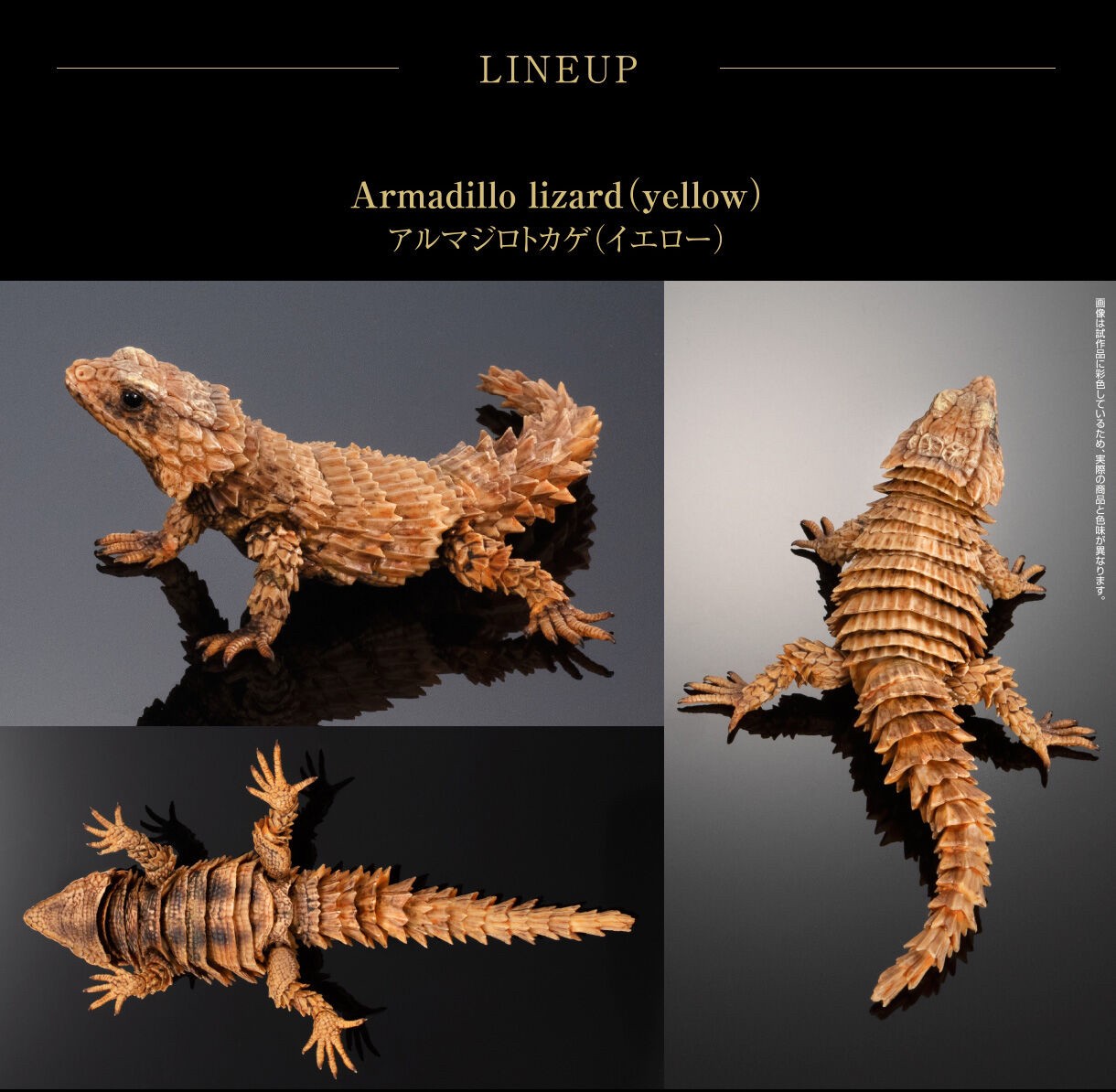 PRE-ORDER : Ikimono Encyclopedia Advance Armadillo Lizards (Random)
