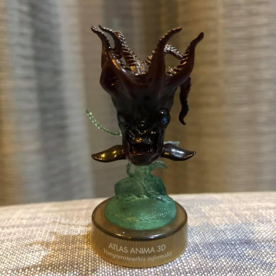 งานฝา สัตว์น้ำ New Enoshima Aquarium World Museum ATLAS ANIMA 3D Bottle Cap Collection (Set of 8) by Kaiyodo