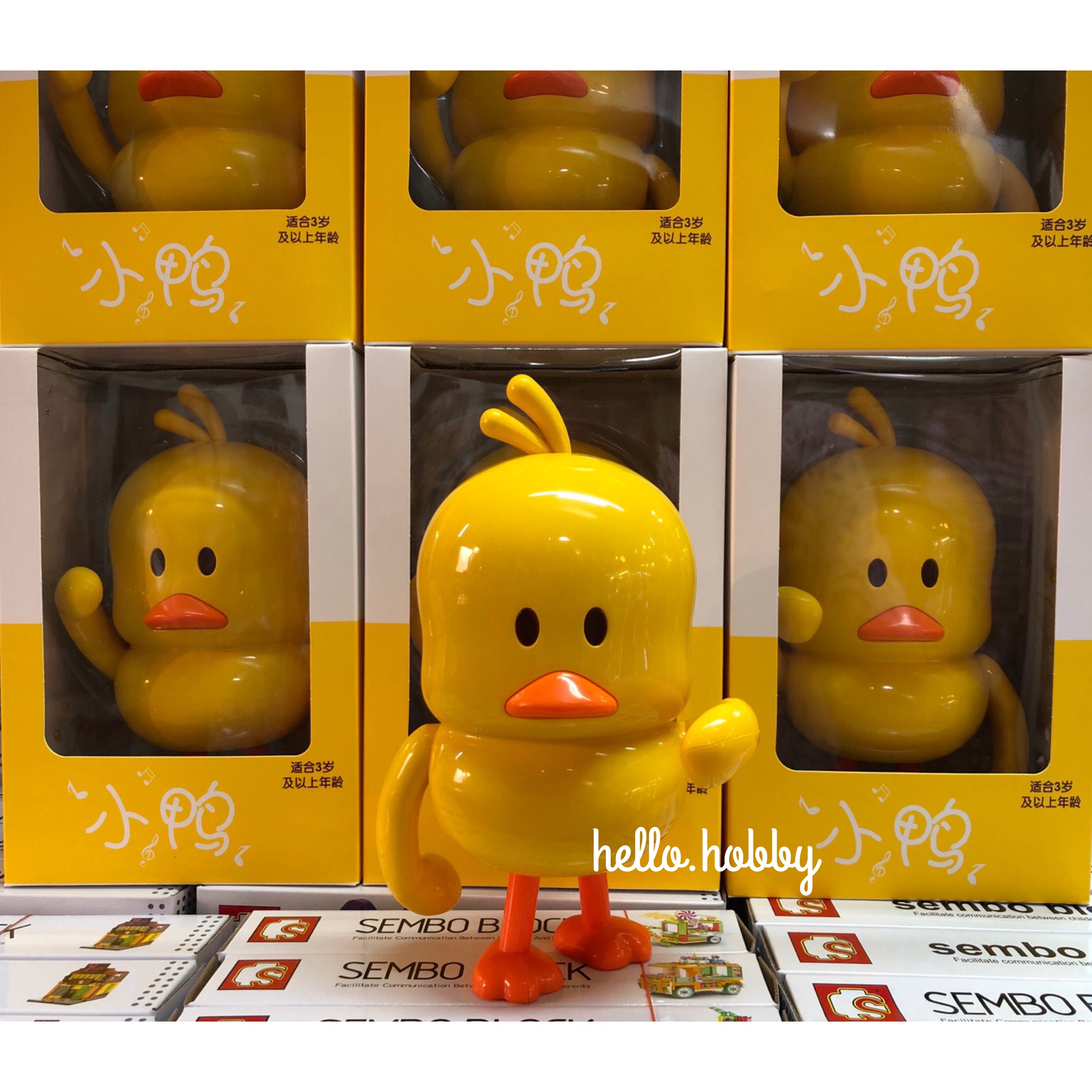 เป็ดเต้น Duck Dukdik