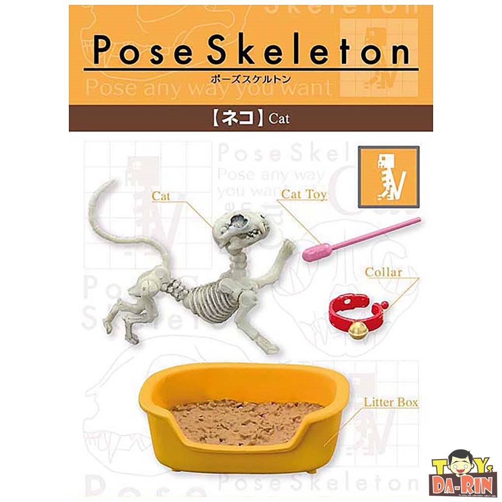 $ Pose Skeleton - Cat