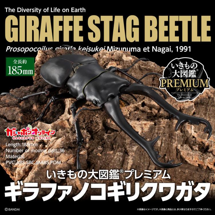 $ Ikimono Encyclopedia Premium Giraffe Stag Beetle (PB)