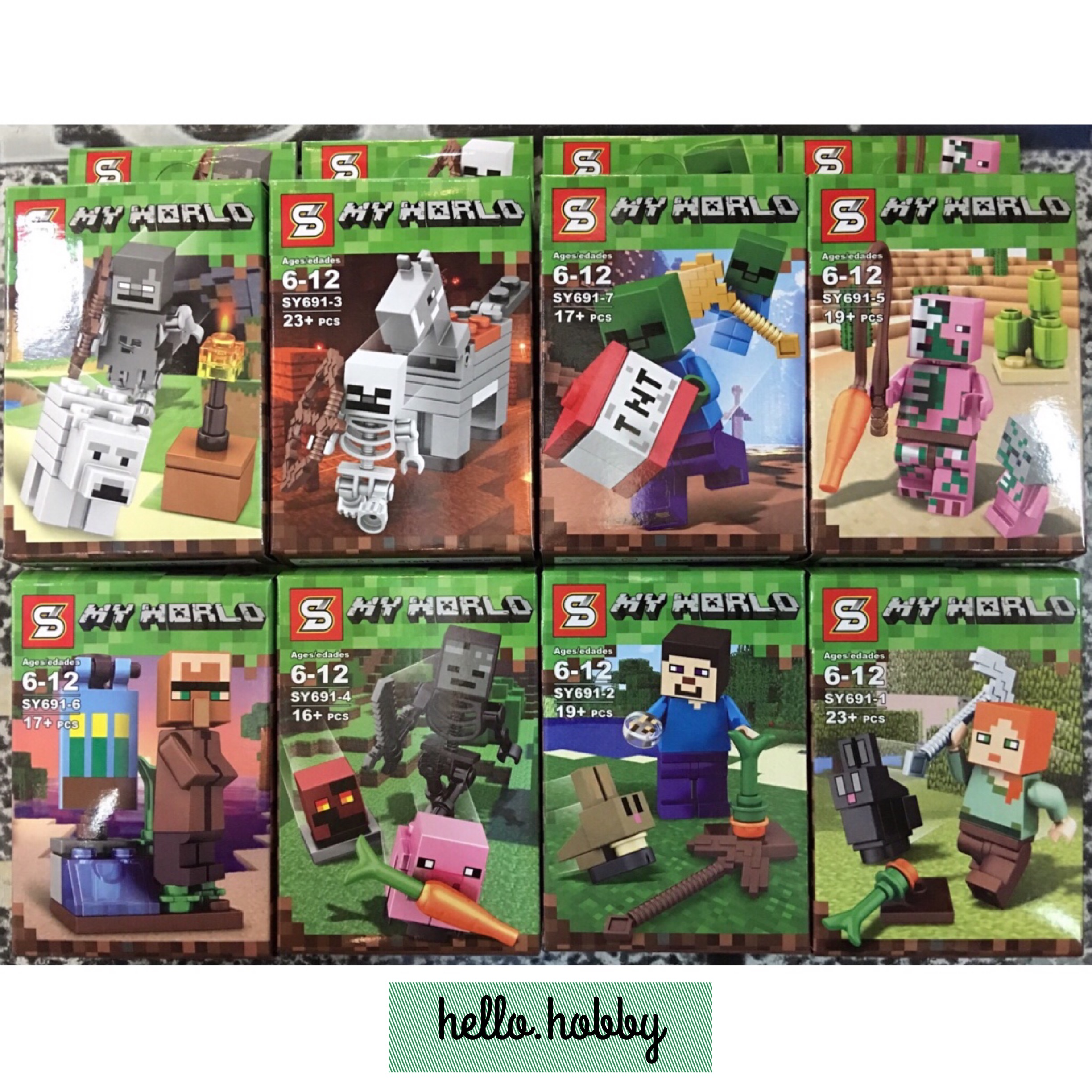 SY 691 Minecraft