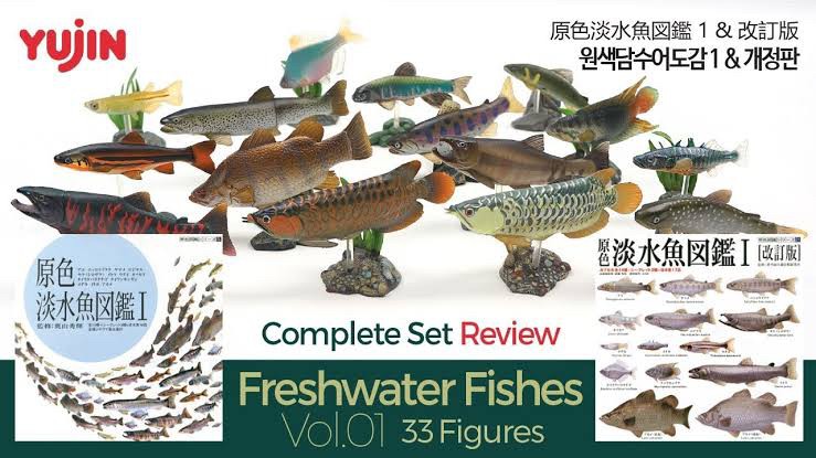 กาชาปอง Freshwater Fish Collection vol. 1 Gashapon (Set of 13) by Yujin