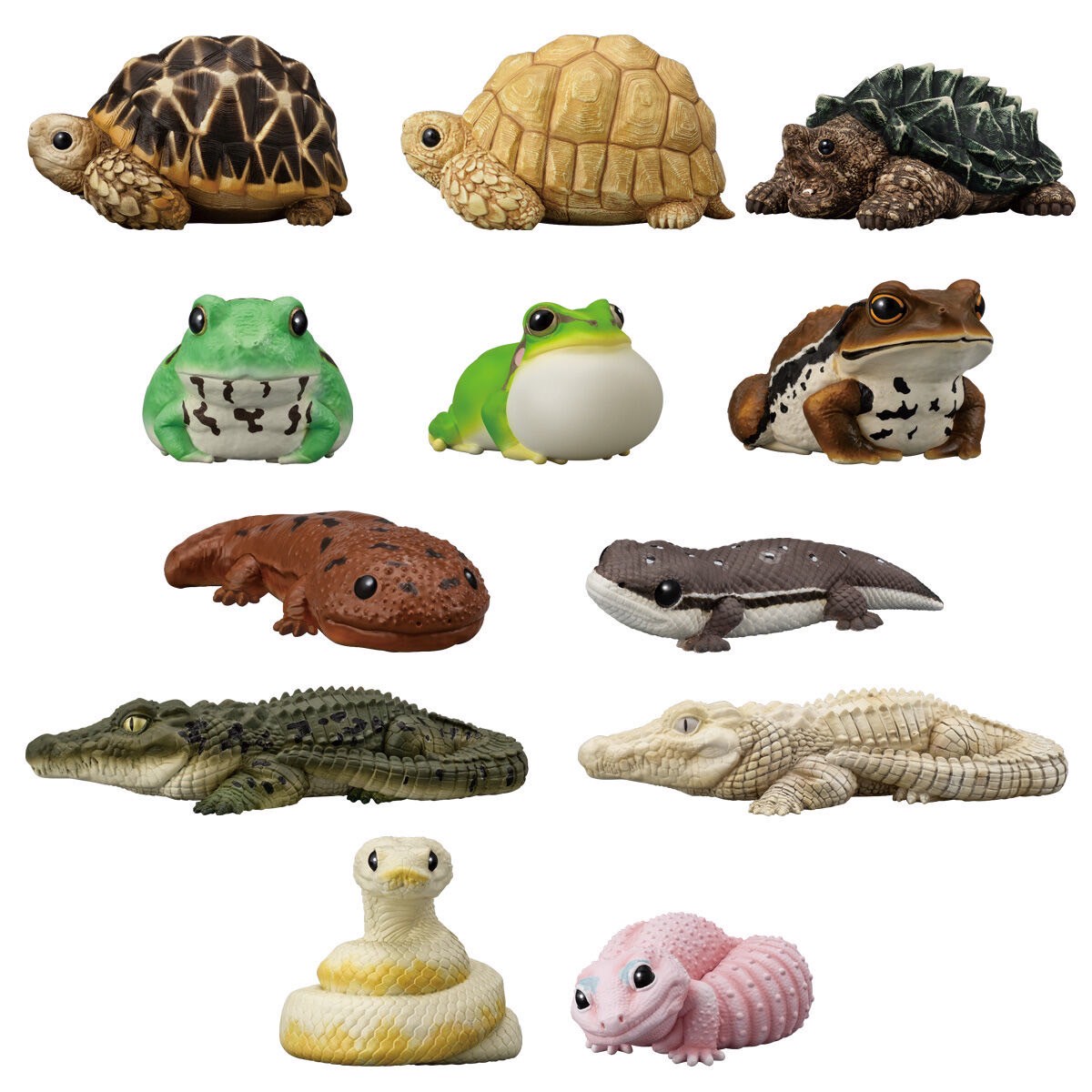 PRE-ORDER : Tenori Friends 12 (12 pcs)