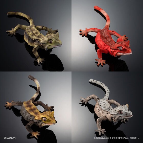 PRE-ORDER : Ikimono Encyclopedia Advance Crested Gecko (Random)