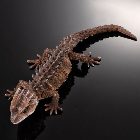 PRE-ORDER : Ikimono Daizukan Red-eyed Crocodile Lizard and Motoikabuto Lizard (Random)