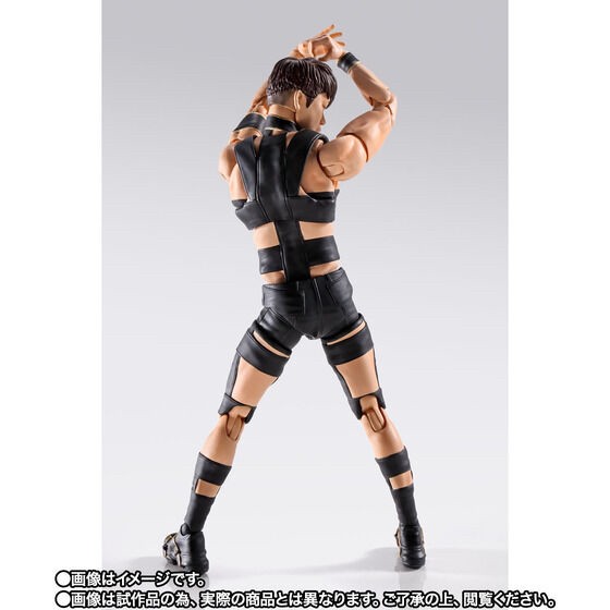 PRE-ORDER : S.H.Figuarts T.M.Revolution