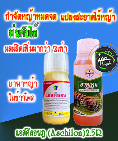 แอสคีลอน-2.5R (Aschilon®): สารกำจัดหญ้าในข้าวโพดได้หมดจด คุมหญ้างอกใหม่ได้ถึงออกดอก! ✅ **ควบคุมวัชพืชได้ตรงจุด**: ✅ **ปลอดภัยต่อข้าวโพด**: ไม่ทำให้ข้าวโพดเสียหาย ✅ **สะอาดยาวนาน**: ✅ **ผลผลิตเพิ่มขึ้น**: ข้าวโพดเติบโตเต็มศักย