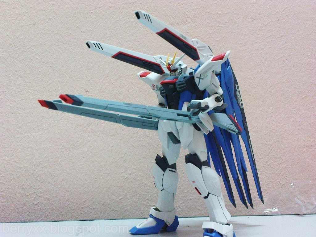 MG 1/100 ZGMF-X10A Freedom Gundam by Bandai