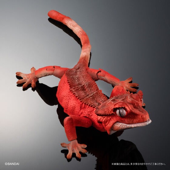 PRE-ORDER : Ikimono Encyclopedia Advance Crested Gecko (Random)