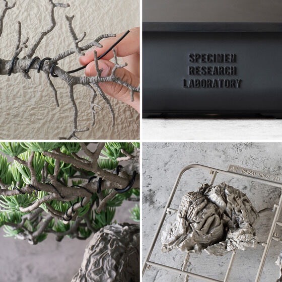 PRE-ORDER : SRL X BANDAI SPIRITS . BONSAI MODEL KIT ／ SRL X BANDAI SPIRITS . TOOL SET