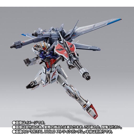 PRE-ORDER : METAL BUILD I.W.S.P.