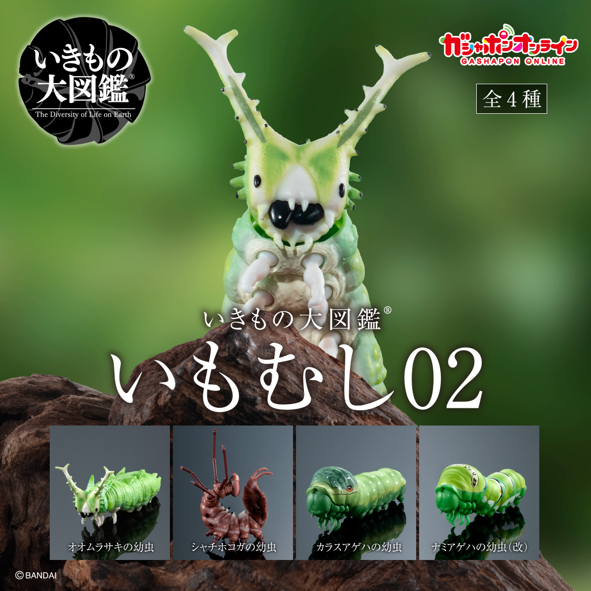 $ Ikimono Encyclopedia Caterpillar 02