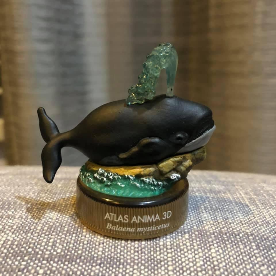 งานฝา สัตว์น้ำ New Enoshima Aquarium World Museum ATLAS ANIMA 3D Bottle Cap Collection (Set of 8) by Kaiyodo