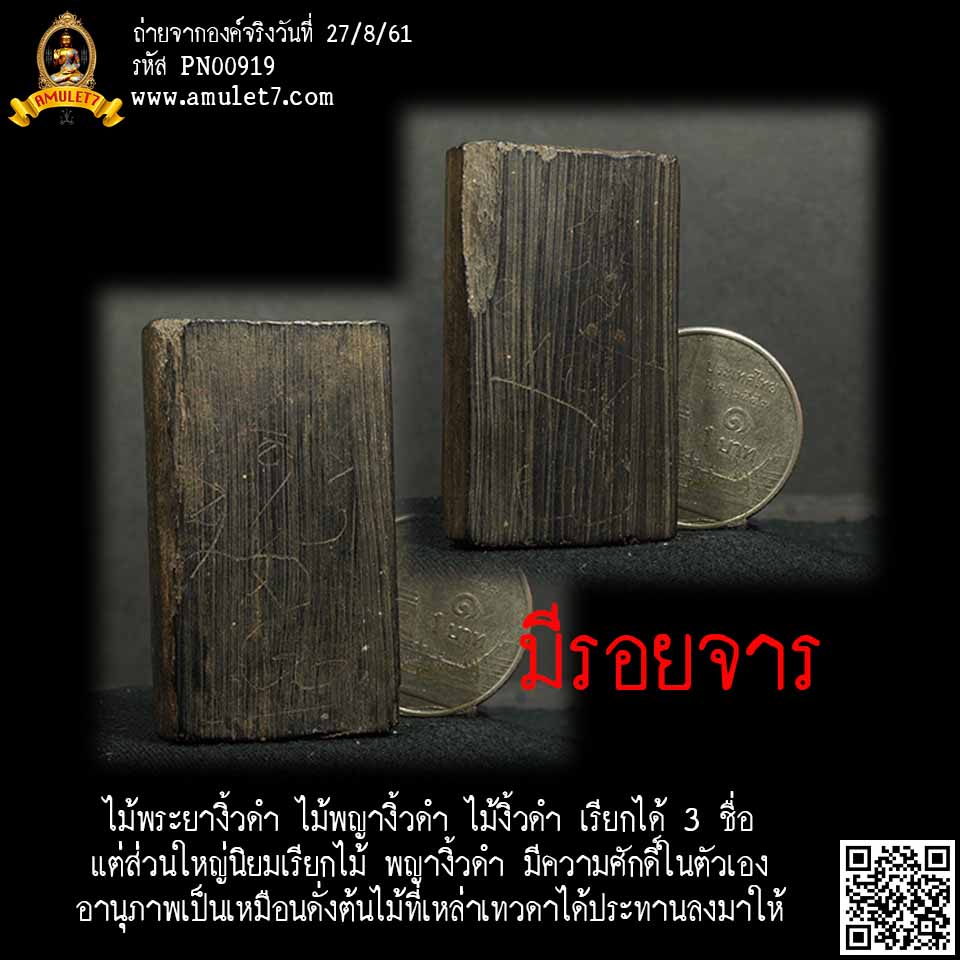 ไม้พระยางิ้วดำ ไม้พญางิ้วดำ ไม้งิ้วดำ เรียกได้ 3 ชื่อ แต่ส่วนใหญ่นิยมเรียกไม้พญางิ้วดำ อานุภาพ ไม้พญางิ้วดำนั้นเป็นเหมือนดั่งต้นไม้ที่เหล่าเทวดาได้ประทานลงมาให้