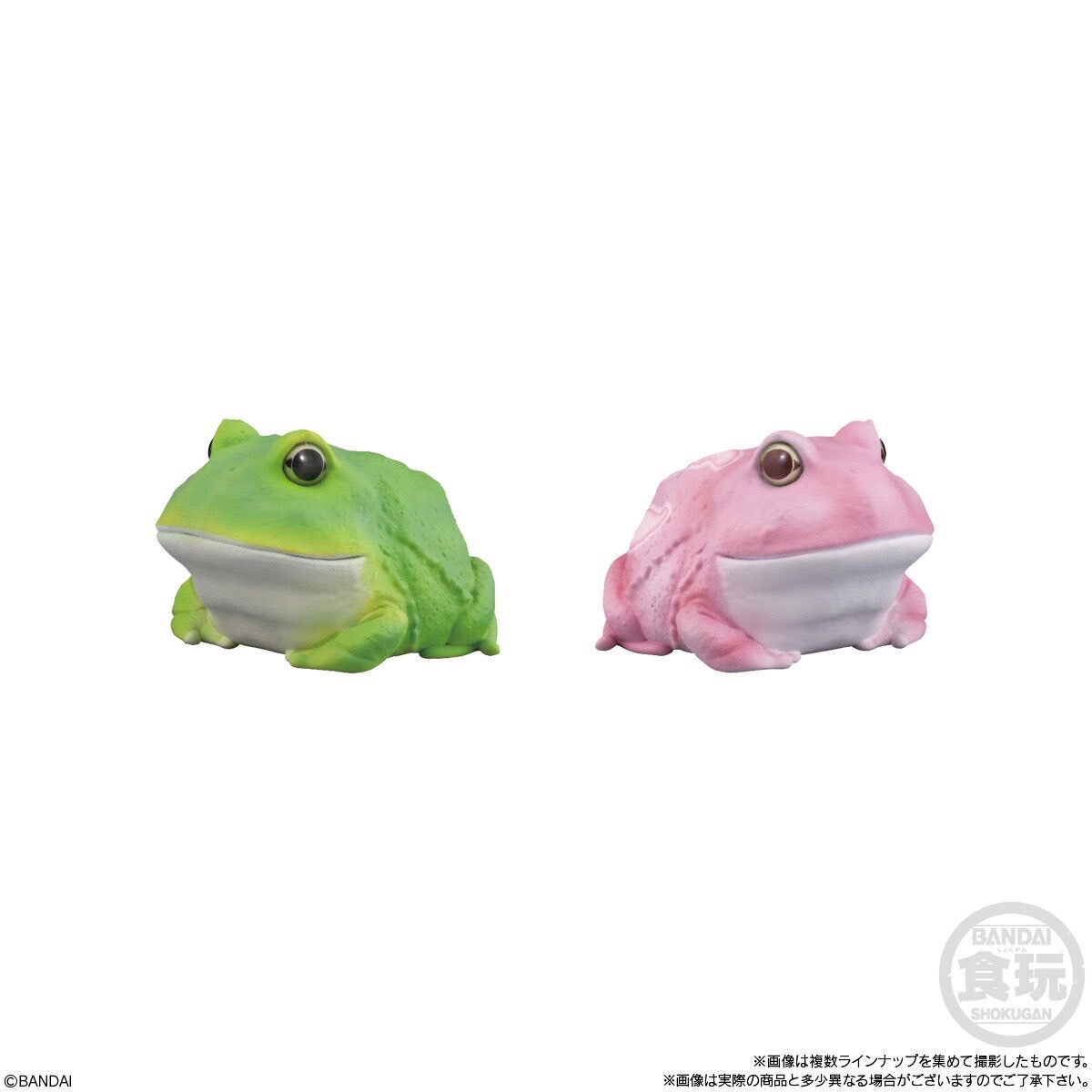 โมเดล สัตว์น่ารัก Tenori Friends 6 by Bandai