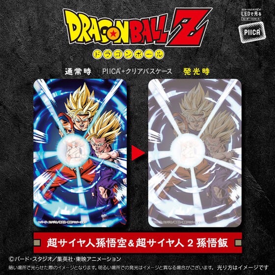 PRE-ORDER : DRAGON BALL Z PIICA+ Clear Pass Case (10 types)