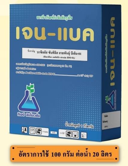 เจน-แบค(500 กรัม):แบคทีเรียเชื้อพิฆาตินักทำลายเขี้อสาเหตุโรคพืช ออกฤทธิ์กำจัดเชื้อโรคที่แผลได้ทันทีไม่เเพ้การสารเคมีแต่ปลอดภัยต่อชิวิตท่านเเละผู้บริโภค หรือจะใช้เชิงป้องกันไม่ให้เชื้อโรคร้ายระบาดล่วงหน้าไม่ว่าเชือร้ายจะมาทางดินเเละน้ำ(ราก) หรือจะมาทางอากา