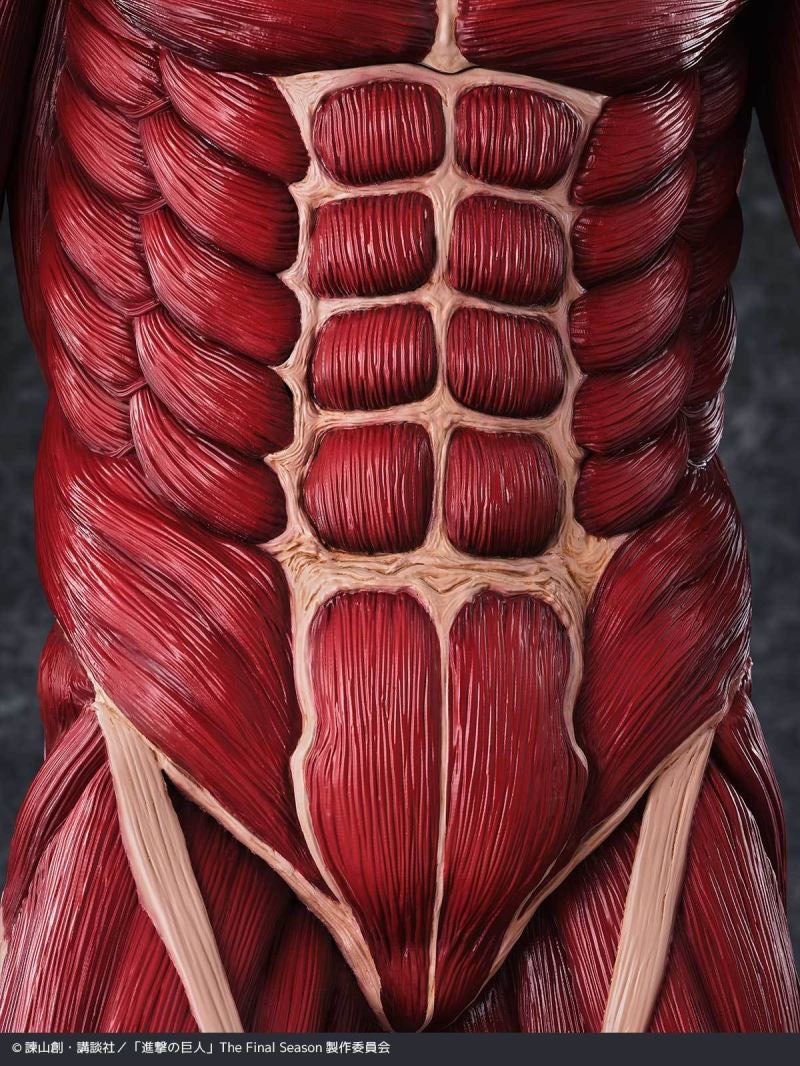 Pre-order : Mega Sofvi Attack on Titan Colossal Titan by Kaiyodo