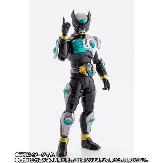 PRE-ORDER : S.H.Figuarts (Shinkoccou Seihou) Kamen Rider Birth