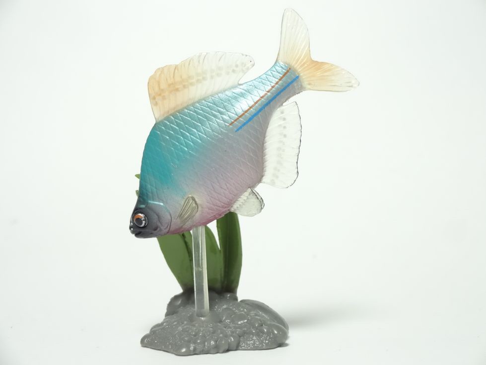 กาชาปอง Freshwater Fish Collection vol. 1 Gashapon (Set of 13) by Yujin