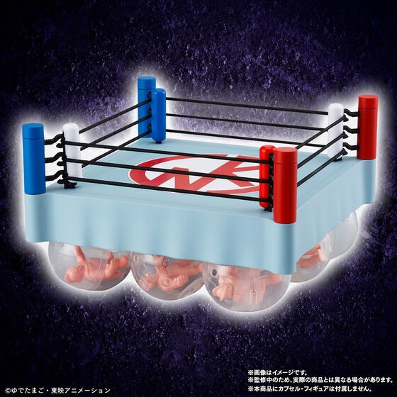 PRE-ORDER : Kinkeshi Official Ring