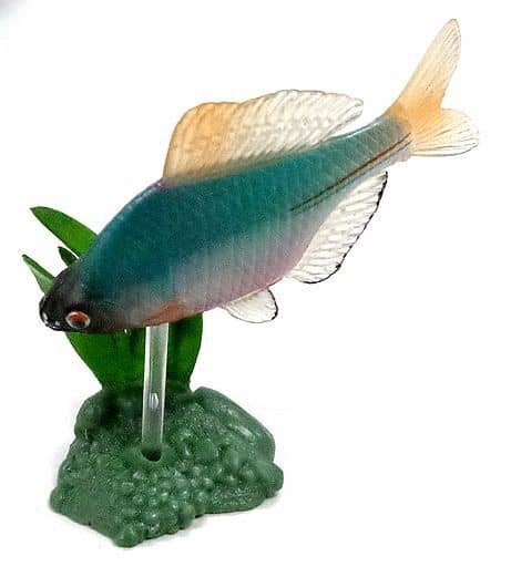 กาชาปอง Freshwater Fish Collection vol. 1 Gashapon (Set of 13) by Yujin