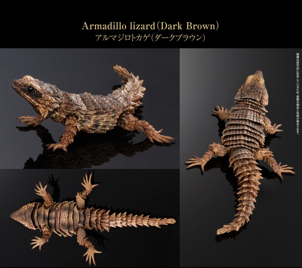 PRE-ORDER : Ikimono Encyclopedia Advance Armadillo Lizards (Random)