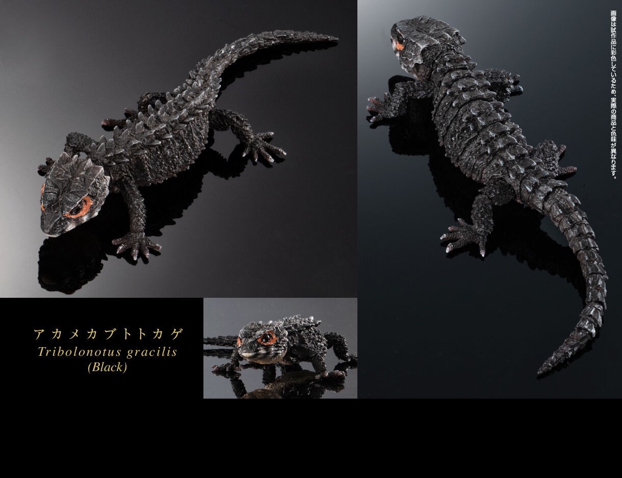 PRE-ORDER : Ikimono Daizukan Red-eyed Crocodile Lizard and Motoikabuto Lizard (Random)