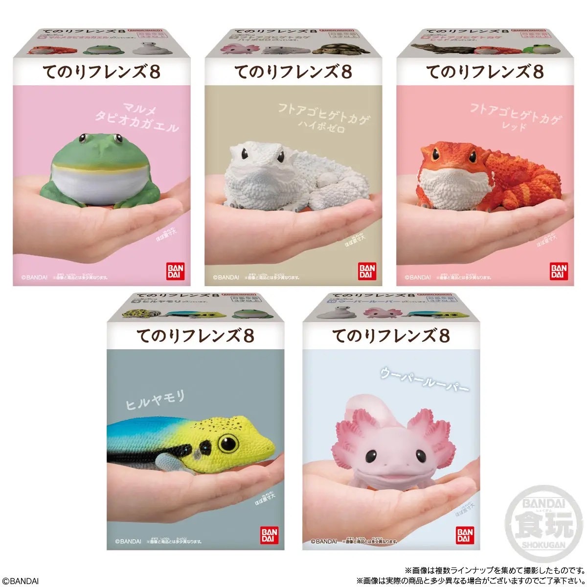 Tenori Friends 8 Reptiles & Amphibians
