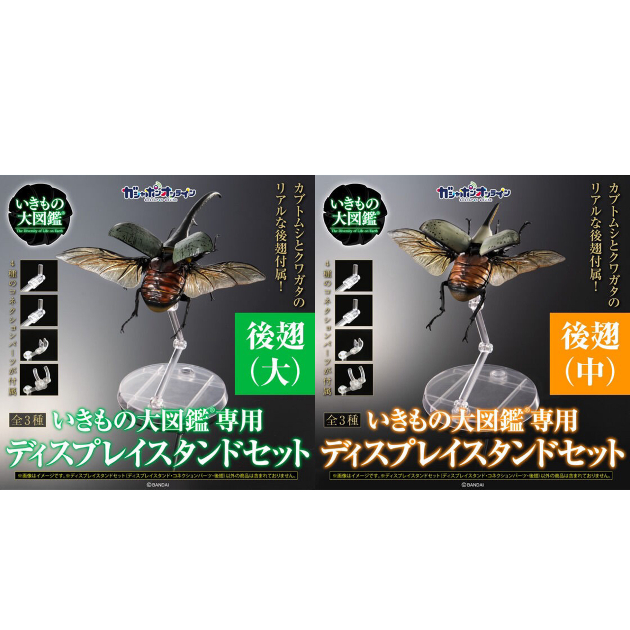PRE-ORDER : Display Stand for Beetles and Stag Beetles Set for Exclusive Use of Ikimono Encyclopedia