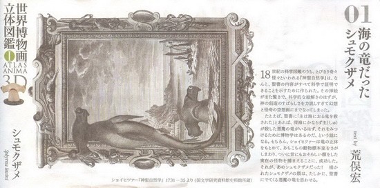 งานฝา สัตว์น้ำ New Enoshima Aquarium World Museum ATLAS ANIMA 3D Bottle Cap Collection (Set of 8) by Kaiyodo