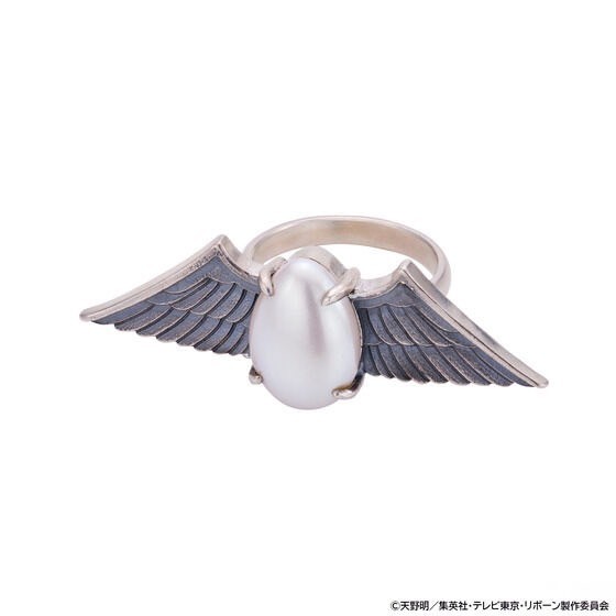 PRE-ORDER : Katekyo Hitman REBORN! Male Ring (2 types)
