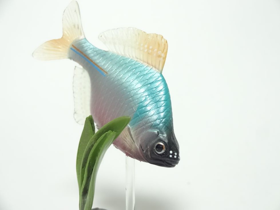 กาชาปอง Freshwater Fish Collection vol. 1 Gashapon (Set of 13) by Yujin