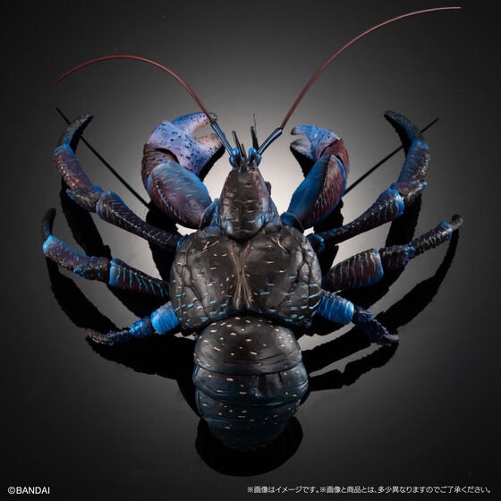PRE-ORDER : Ikimono Encyclopedia Premium Coconut Crab
