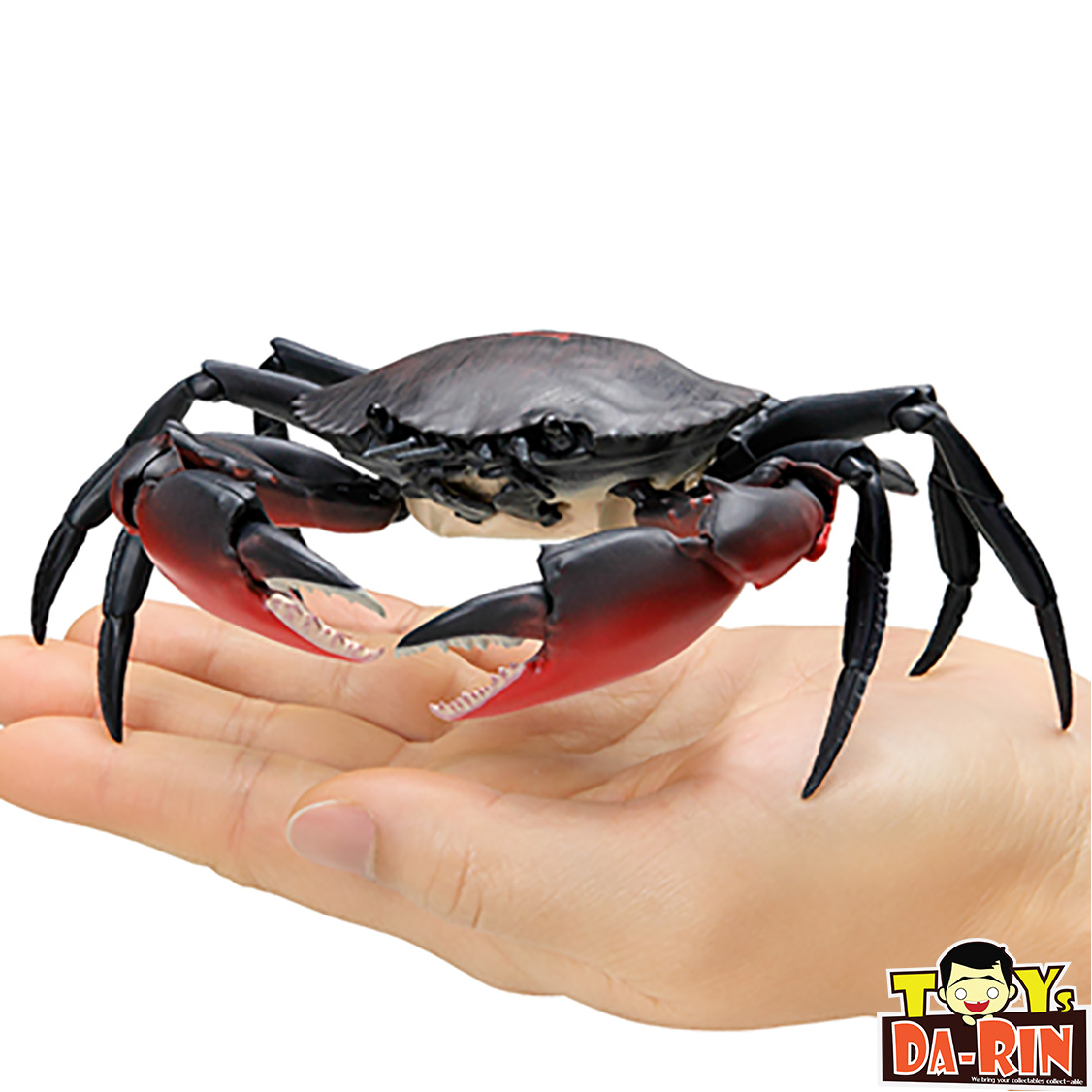 $ Ikimono Encyclopedia Crab 01