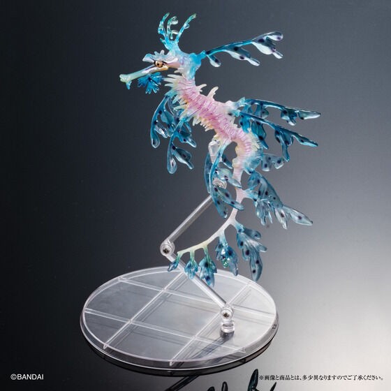 PRE-ORDER : Ikimono Encyclopedia Premium Leafy seadragon