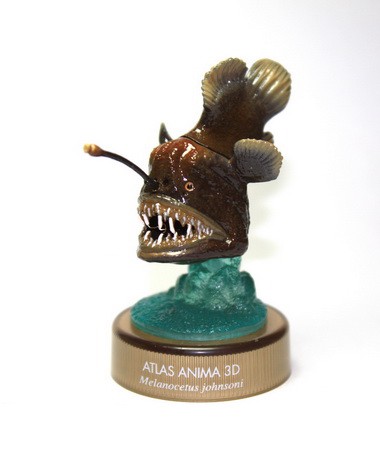 งานฝา สัตว์น้ำ New Enoshima Aquarium World Museum ATLAS ANIMA 3D Bottle Cap Collection (Set of 8) by Kaiyodo