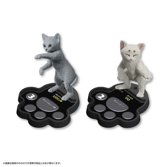 PRE-ORDER : Cat's Territory Battle First Set <For Two Person> ~Territory of Cat CAFE/Territory of Celebrity House~