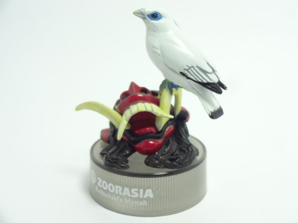 งานฝา กาชาปอง Yokohama Zoo Zoorasia Lunch Jungle Cracker Bottle Cap Trading Figure Collection by Kaiyodo (Set of 9)
