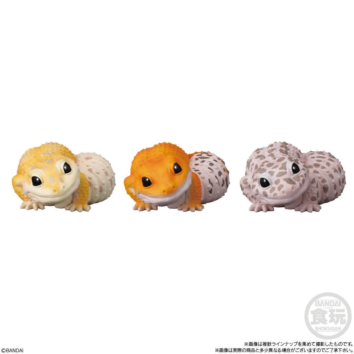 โมเดล สัตว์น่ารัก Tenori Friends 6 by Bandai