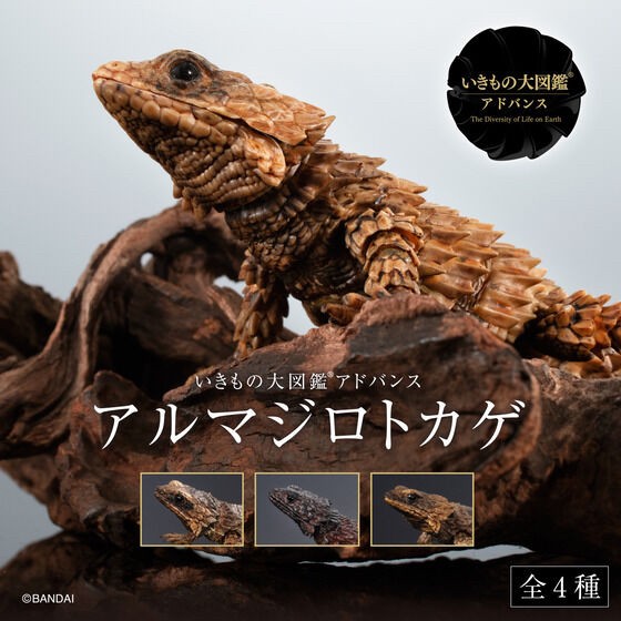 PRE-ORDER : Ikimono Encyclopedia Advance Armadillo Lizards (Random)