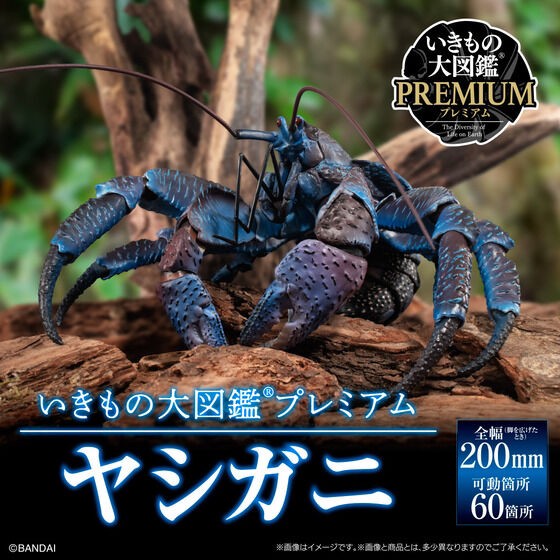 PRE-ORDER : Ikimono Encyclopedia Premium Coconut Crab