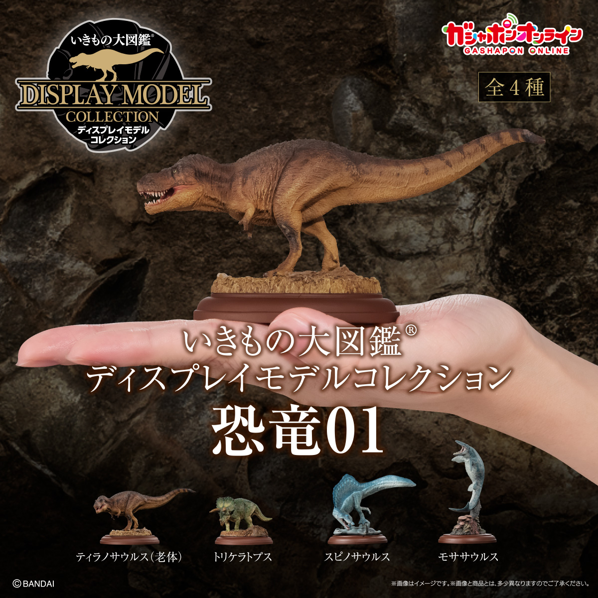 $ Ikimono Encyclopedia Display Model Collection Dinosaur 01